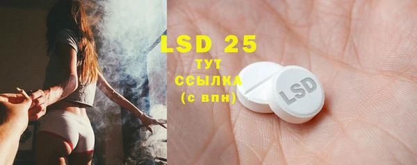 PSILOCYBIN Лиски