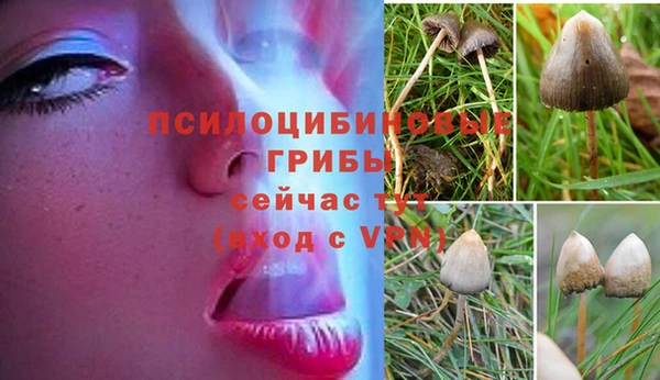 бошки Лагань