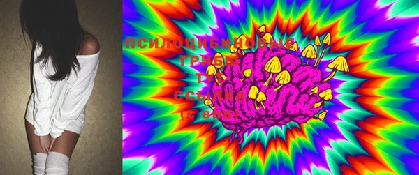 PSILOCYBIN Лиски